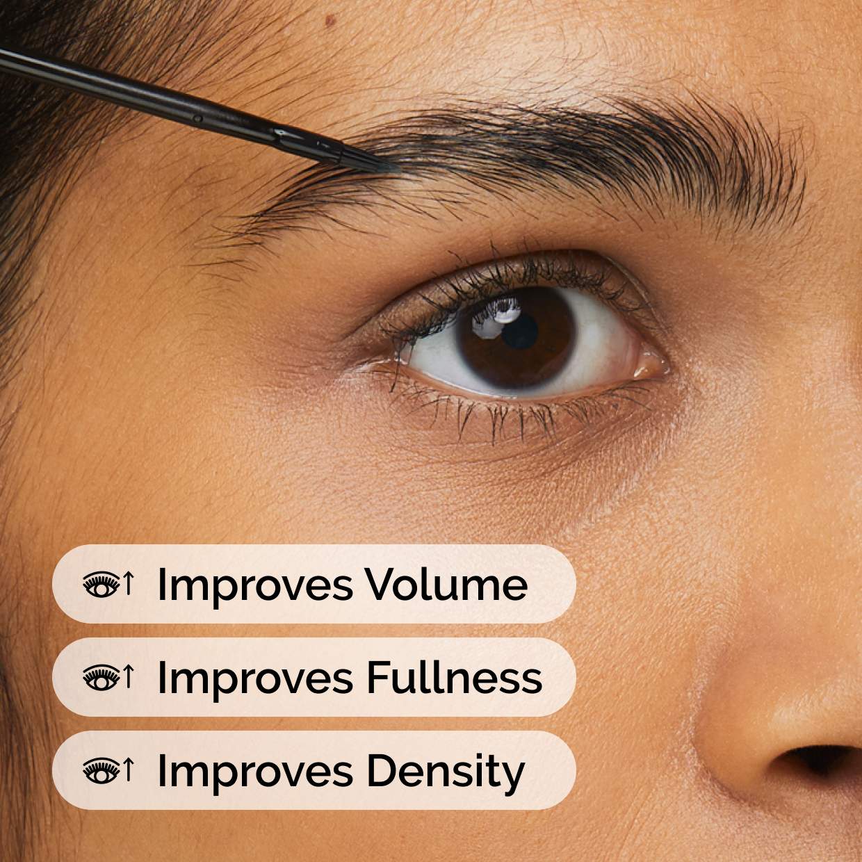 SerumMulti-Peptide Lash and Brow Serum