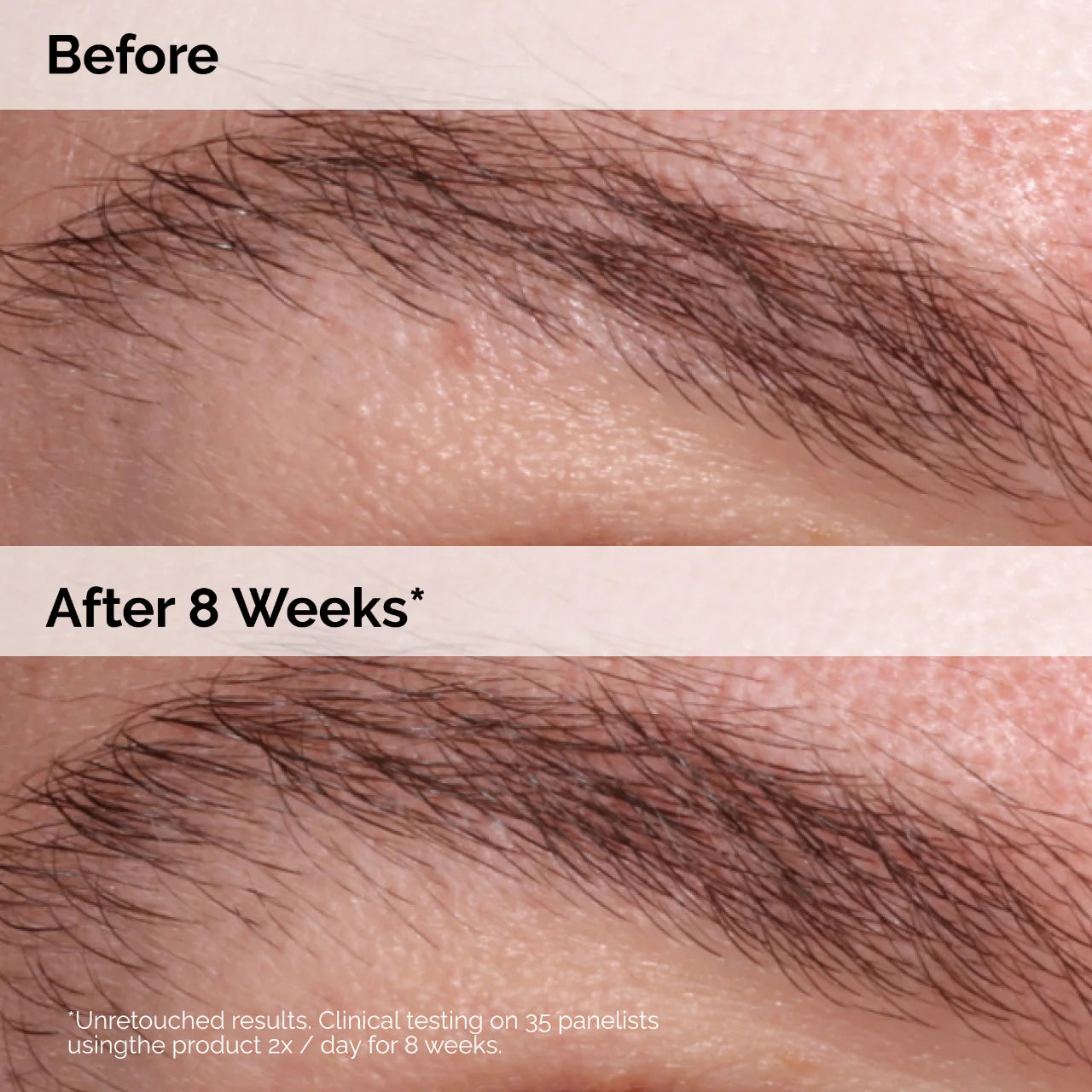 SerumMulti-Peptide Lash and Brow Serum